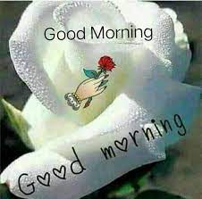 Maybe you would like to learn more about one of these? Top 100 Good Morning Love Images For Girlfriend Whatsapp Dp Whatsapp Wallpaper Dp Images Whatsapp Dp Good Morning Love Good Morning Quotes Morning Images
