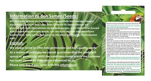 Image result for Litanthus pusillus