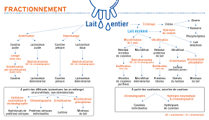 Toutes Les Definitions De La Thematique Technologie Laitiere