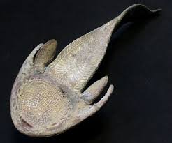 Image result for Cephalaspis