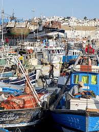 Fishing Boats In Port Tangier Morocco North Africa Africa Morocco Tangier Morocco Fishing Boats