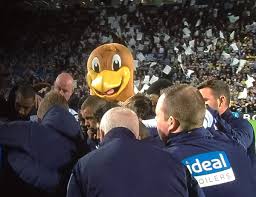 Welcome to west bromwich albion fc's official facebook page. The Club Mascot Was Part Of One Team S Penalty Shootout Huddle