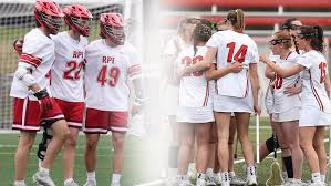 Image result for Rennera laxa