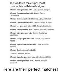 However, cancer sign always needs more love, money, and fame. The Top Three Male Signs Most Compatible With Female Signs A Female Aries Goes Best With Leo Aquarius Scorpio A Female Taurus Goes Best With Taurus Cancer Capricorn A Female Gemini Goes