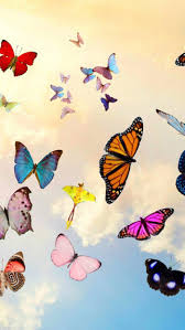 Iphone Wallpaper Purple Hintergrundbildiphone Tapete Purple Gallery 2020 3d Iphon In 2020 Butterfly Wallpaper Iphone Butterfly Wallpaper Aesthetic Iphone Wallpaper