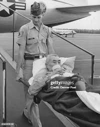 1.065 Staggs Stock Photos, High-Res Pictures, and Images