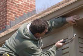 Not only do mosquitoes make it miserable to spend time outside during the warmer months of the year, but these insects also spread serious diseases. Sugar Hill Ga Pest Control Expest Exterminating Pest Control Sugar Hill