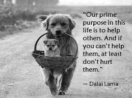 Dalai Lama Animal Quotes Quotesgram Animal Quotes Animals Dalai Lama