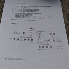 How many males are there? Solved Pedigree Worksheet The Following 3 Pedigrees Show Chegg Com
