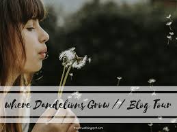 WHERE DANDELIONS GROW // by Lydia Howe