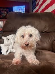 Tom Towner's Instagram, Twitter & Facebook