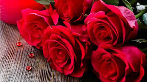 پدر، تو تپش قلب خانه ای؛ وقتی هر صبح، با تلنگر عشق از خانه بیرون میروی. ØªØ§Ø±ÛŒØ® Ø±ÙˆØ² Ù¾Ø¯Ø± 99 Ú†Ù‡ Ø±ÙˆØ²ÛŒ Ùˆ Ú©ÛŒ Ù‡Ø³Øª ØªØ§Ø±ÛŒØ® Ø¯Ù‚ÛŒÙ‚ Ø±ÙˆØ² Ù¾Ø¯Ø± Û±Û³Û¹Û¹ Ø¨Ø§Ù…ØªÙ†