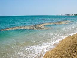 The snot blocks out sunlight, clouds animals' senses and also physically covers them. Coming Soon To A Beach Near You Sea Snot Beach Sea Outdoor