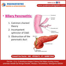 Check spelling or type a new query. Acute Padmavathi Gastro Liver Hospital Miyapur Facebook