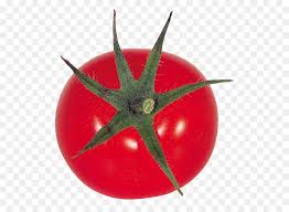 Check spelling or type a new query. Tomat Plum Jus Tomat Anggur Tomat Gambar Png