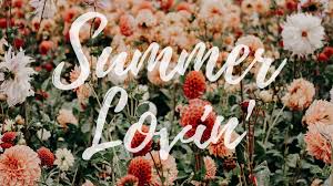 We did not find results for: Summer Plant Summer Aesthetic Backgrounds For Computer Novocom Top
