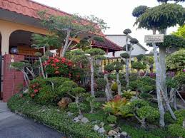 Sesuai sangat bagi mereka yang baru berjinak buat dekorasi rumah dengan pokok hidup. Laman Penuh Bonsai