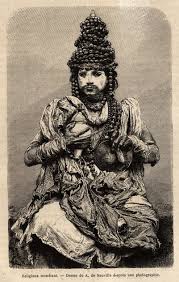 Image result for Grandidiera