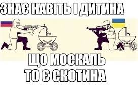 Папа Римский призвал к миру в Украине - Цензор.НЕТ 6292