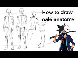 Front, 3/4 and side view! Download How To Draw Anime Body 3gp Mp4 Codedfilm