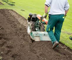 Plant either from seed or used starter seedlings from a nursery. How To Start A New Vegetable Garden