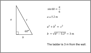 Domain Specific Feedback Part Ii The Cambridge Handbook