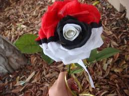 I Wish My Girlfriend Played Pokemon Rose Seeds Flower Seeds Pokemon