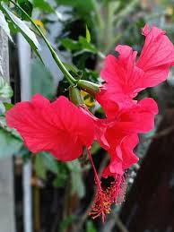 We did not find results for: Page 5 Royalty Free Indian Tree Photos Pikist