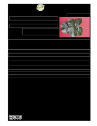 Image result for Premna velutina