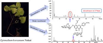 The internet offers a place where anyone can start up a business and make money online with v. Effect Of Drying Processes On Prenylflavonoid Content And Antioxidant Activity Of Epimedium Koreanum Nakai Sciencedirect