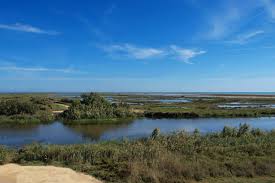 Addressing Water Scarcity: IMPETUS Initiatives in Catalonia - Climate  Impetus