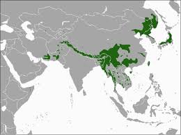 Asiatic Black Bear Range Map Asiatic Black Bear Bear Conservation