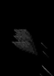 The Mennonites of America