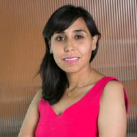 Karla Manriquez Flores