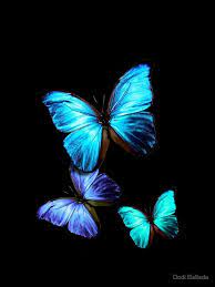 Maybe you would like to learn more about one of these? Butterfly Wallpaper For Iphone