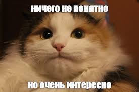 images?q=tbn:ANd9GcTsVMeYiE6SicWjSC43ric