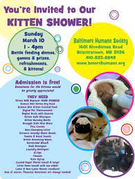 Bhs Kitten Shower Animal Shelter Fundraiser Pet Holiday Puppy Shower
