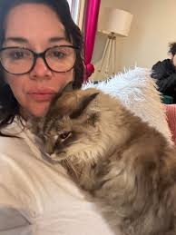 Lost cat Apollo in Stuart's Draft area near Auburn Court