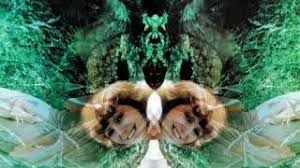 V následujícím roce jí vyšlo dlouho očekávané nové album nazvané hanka, po němž následovalo několik dalších neméně. Hana Zagorova A Petr Rezek Rainbow Fairy Duhova Vila 1978 Youtube