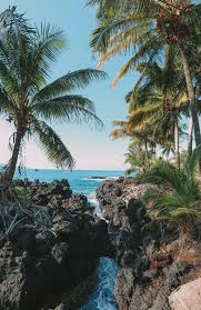 I Have Always Wanted To Be A Travel Photographer Just Chilling At The Beach Hawaii Pictures Hawaii Travel Hawaii Photography