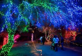 Pin By Lindsey Labrum On Arizona Arizona Adventure Phoenix Attractions Monument Colorado