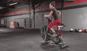 In my best flight attendant voice Schwinn Airdyne Ad Pro Review Features Specs And Price