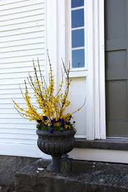 Spring Urn Forsythia And Pansies Spring Flowers Flower Pots Pansies