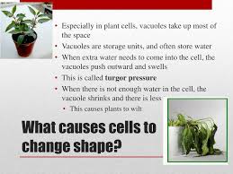 Maybe you would like to learn more about one of these? Ppt Welcome To Science Powerpoint Presentation Free Download Id 2361386