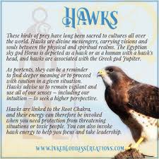 Hawks These Birds Of Prey Have Long Been Sacred To Cultures All Over The World Hawks Animal Totem Spirit Guides Hawk Spirit Animal Spirit Animal Totem