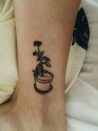 Jul 29, 2013 · i have two main aloe, (more of the less common types however), one of which is a giant aloe, growth only limited by the size of the pot. 20 Simple Plant Tattoos