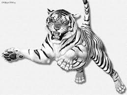 They are often worn by people who want to embody those characteristics themselves. Tiger Leaping Erc Tiger Drawing Tiger Pictures Tiger Illustration