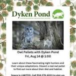 Owl Pellets with Dyken Pond