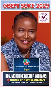 ALIMOSHO 2023: Hon. Morenike Adesina Williams declares intent to run for  House of Reps.