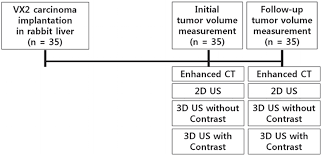 The Feasibility Study Of Contrast Enhanced Ultrasound Using